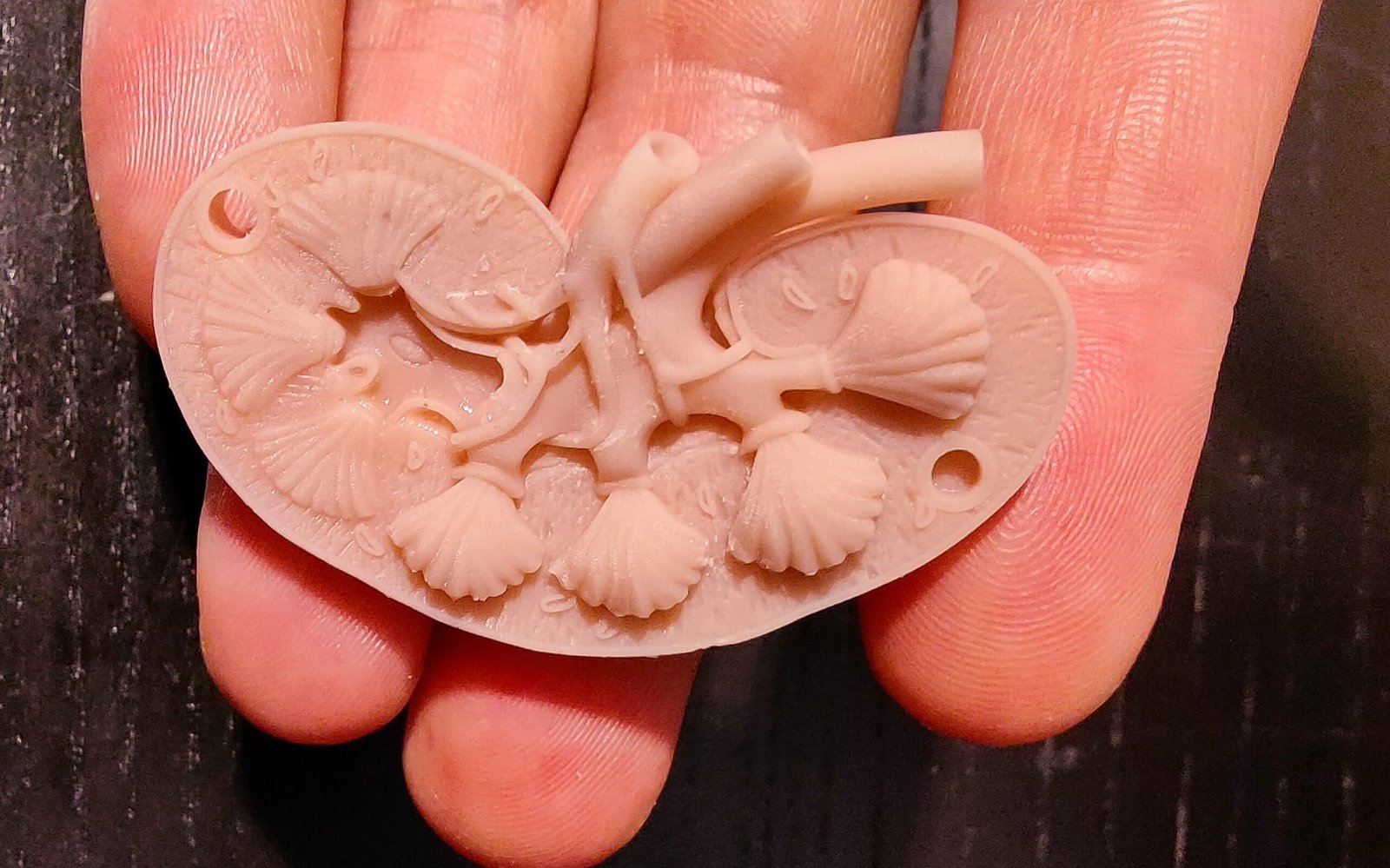 3D prints van een anatomisch niermodel, gebruikt voor educatie en medische toepassingen.